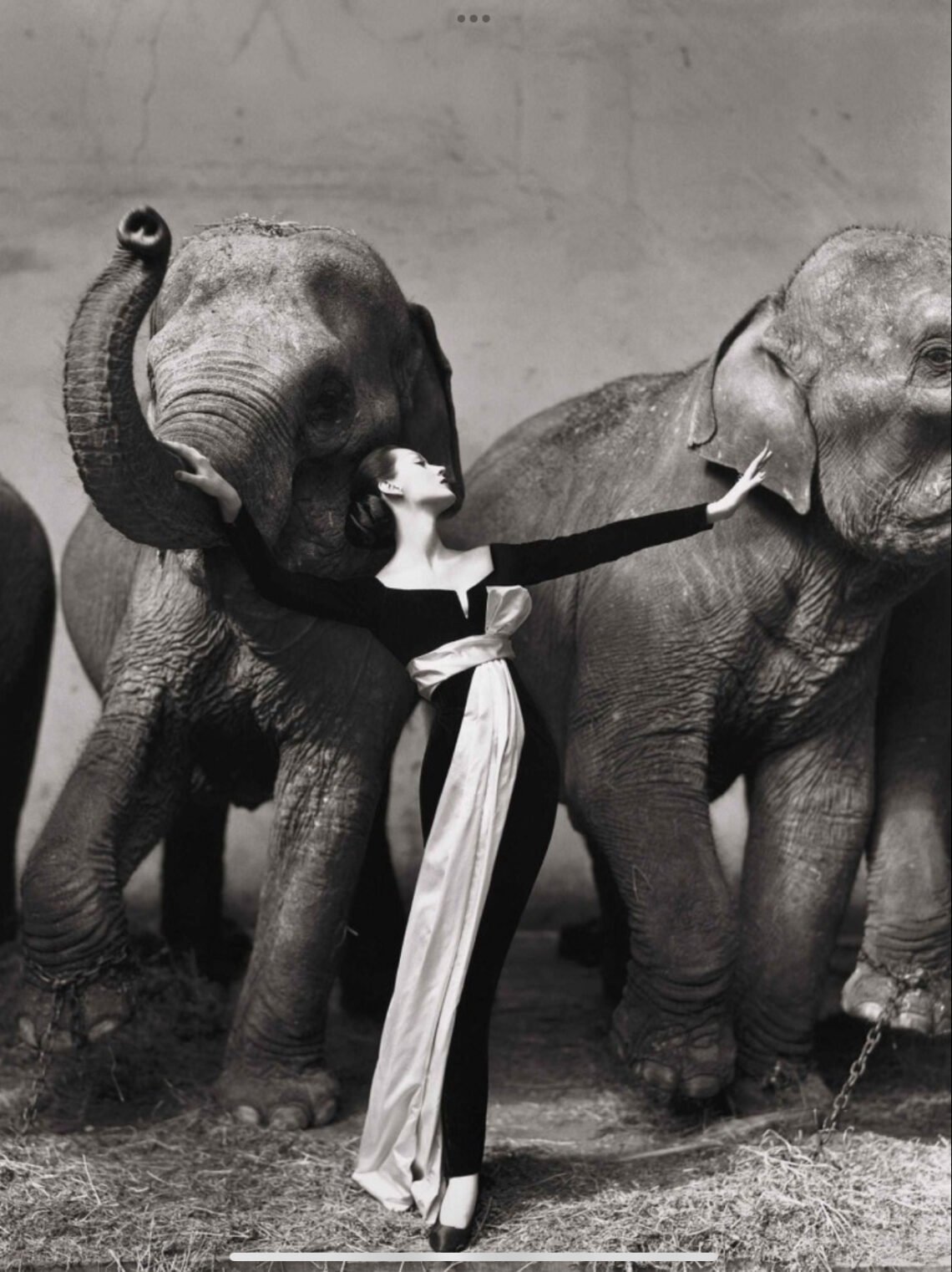 Richard Avedon